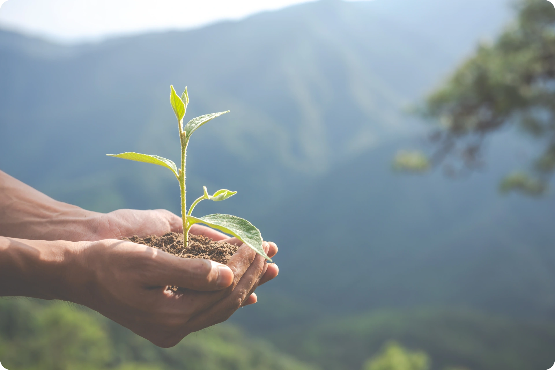 Sustainable Cleaning Solutions